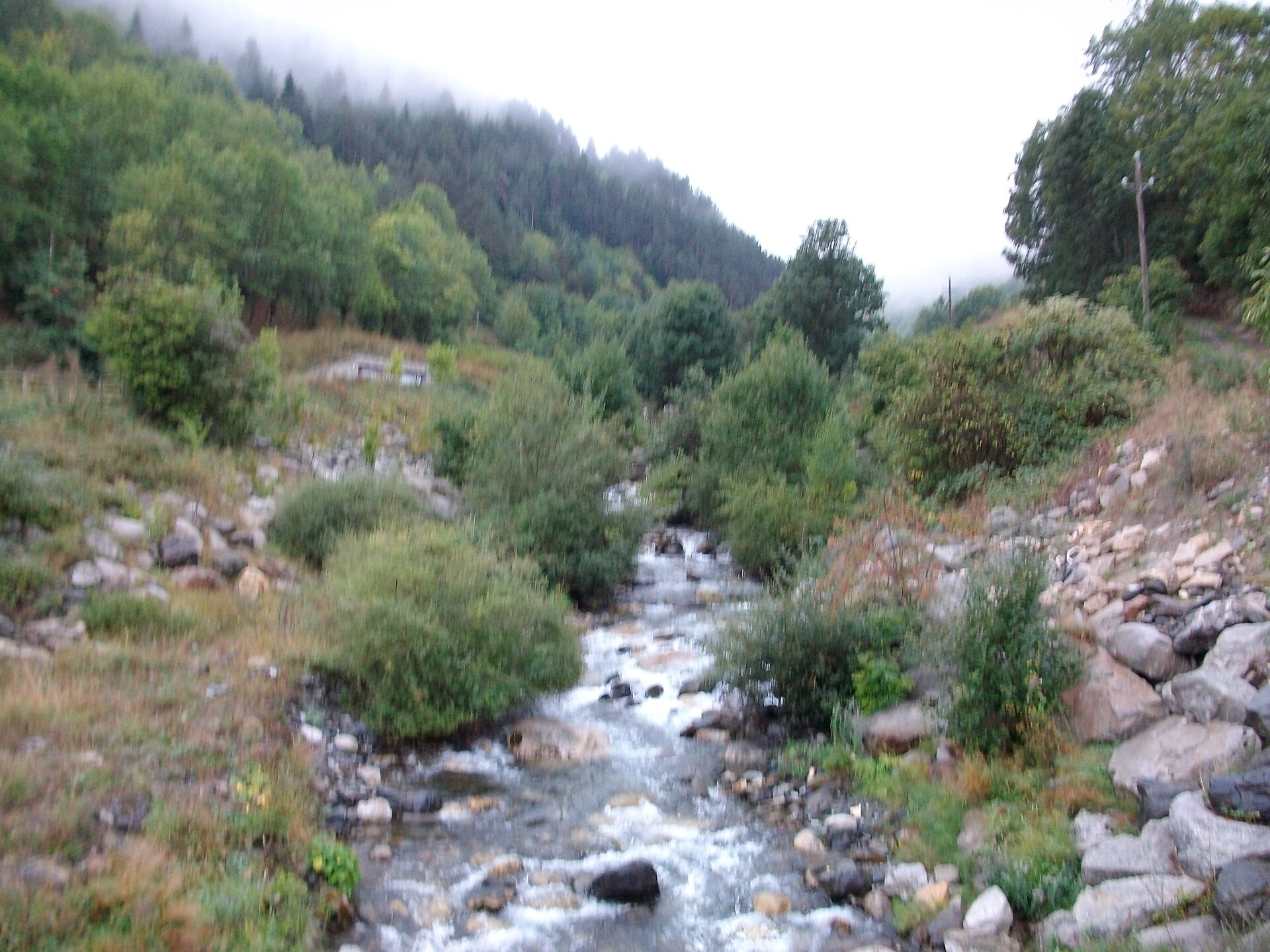Anfibios del Val d'Aran, entre el agua y la tierra · momento 3