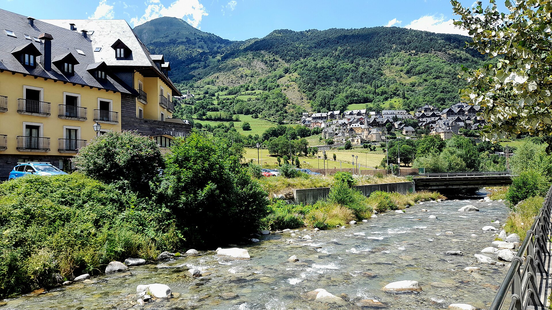 Anfibios del Val d'Aran, entre el agua y la tierra · momento 2