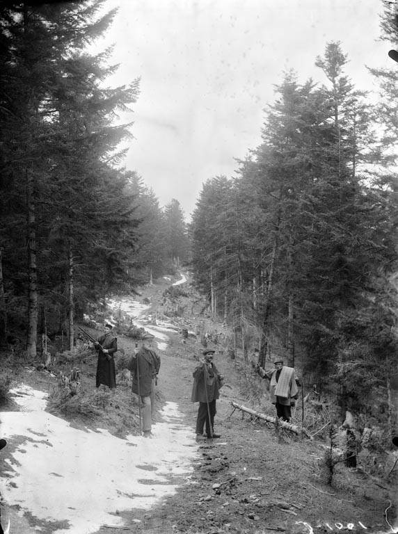 Baño de bosque en Val d'Aran · momento 2