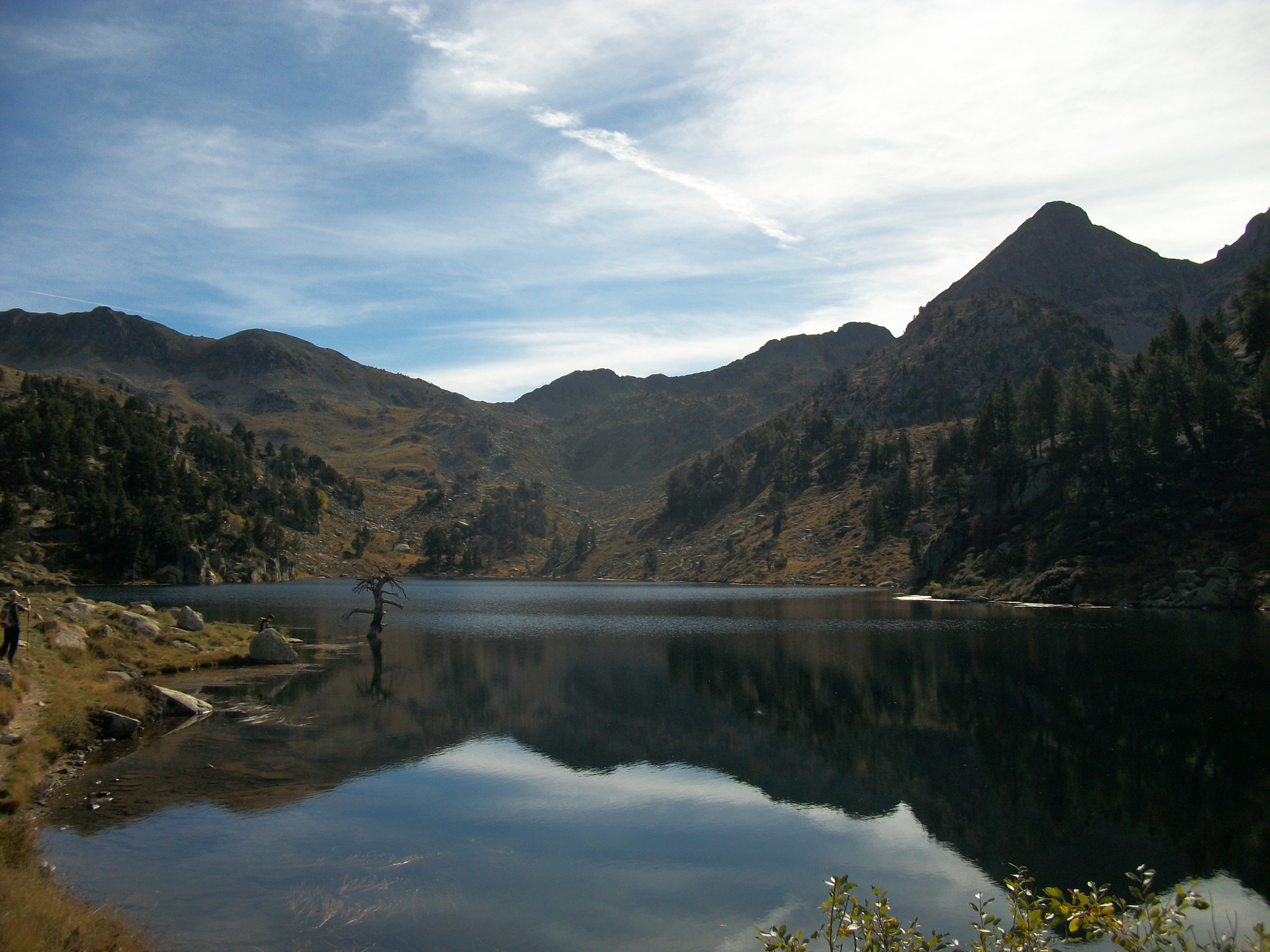 Lago de Baciver con reflejo de las montanas y un arbol seco en la orilla