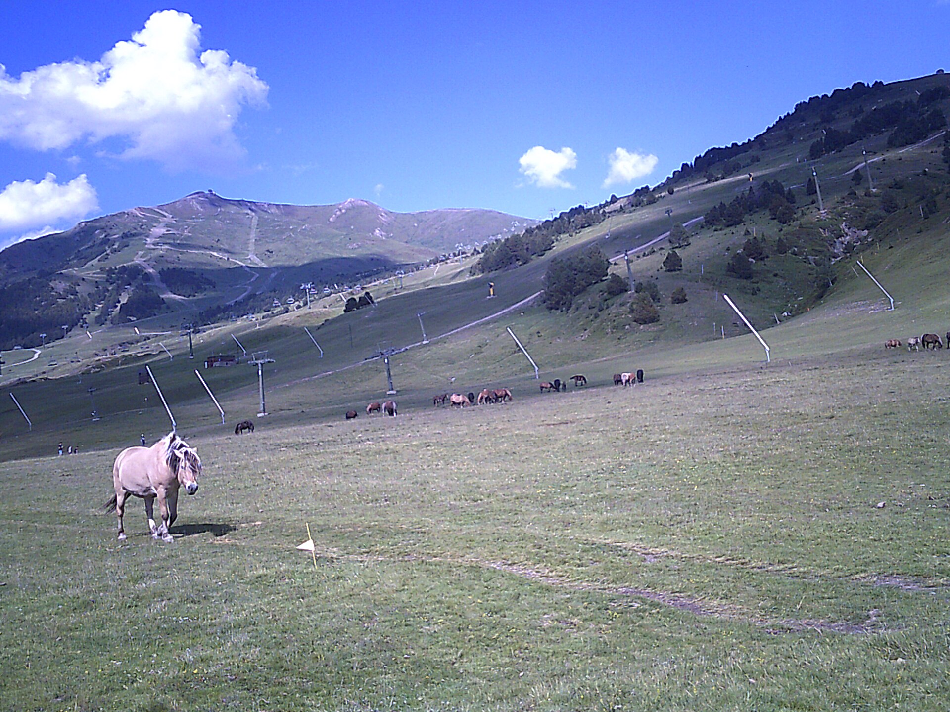 E-bike Nature Tour Val d'Aran · momento 3