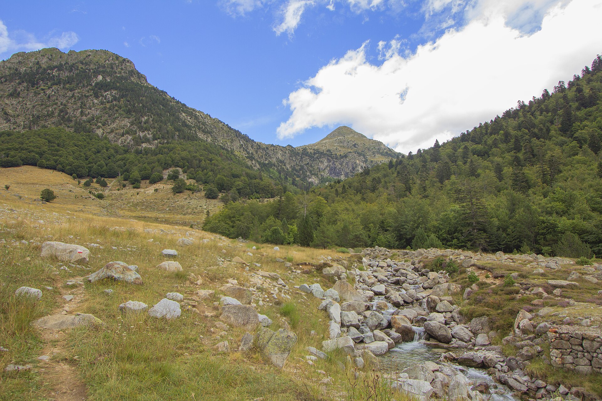 Curso de río de montaña entre bosque en un valle del Pirineo aranés
