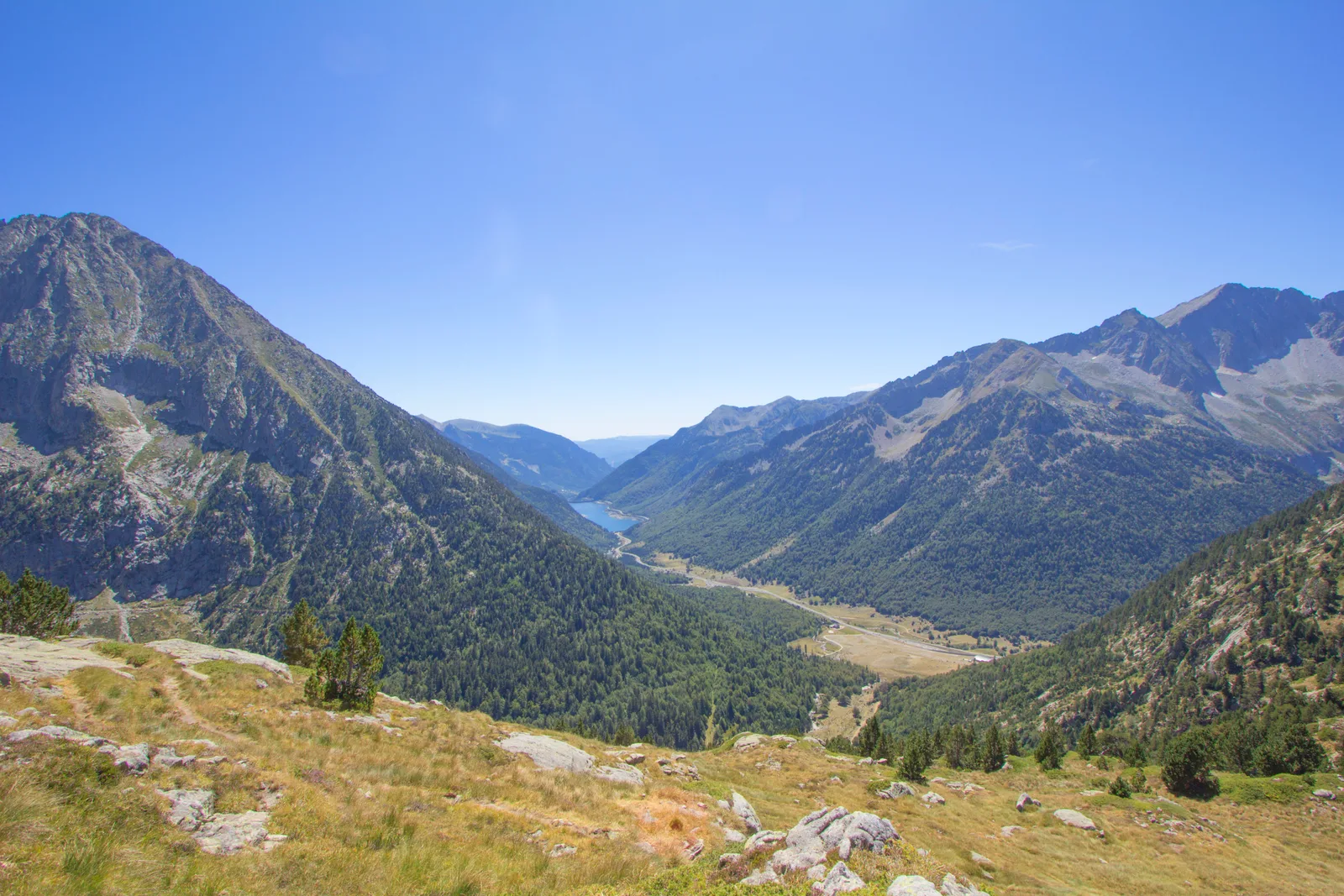 Hayedos de Salenques y Conangles: los bosques del Pirineo · foto 4