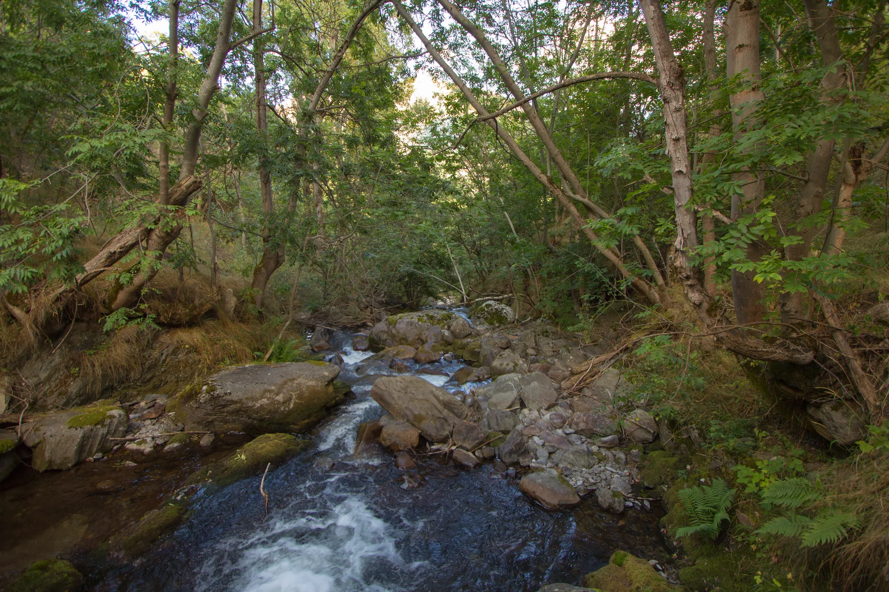 Cursos de agua como corredor natural — referencia visual de geología