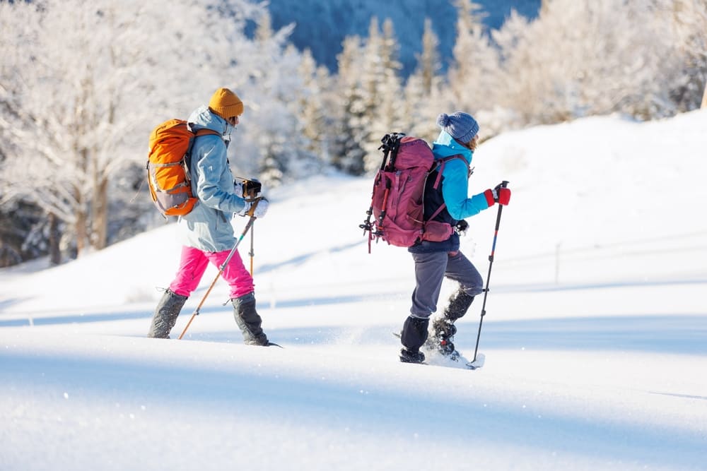 Dos personas avanzando con raquetas de nieve por un paisaje invernal