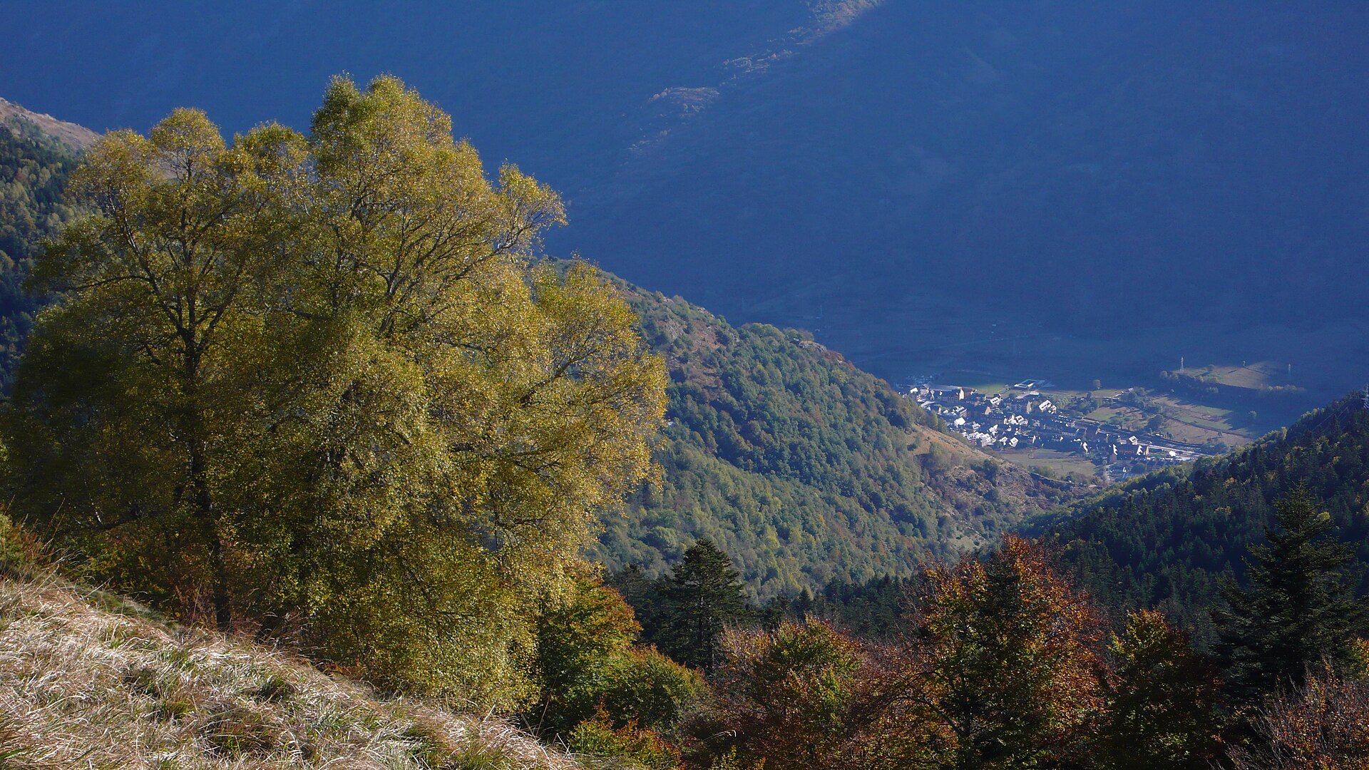 Ruta botánica en Val d'Aran · momento 3