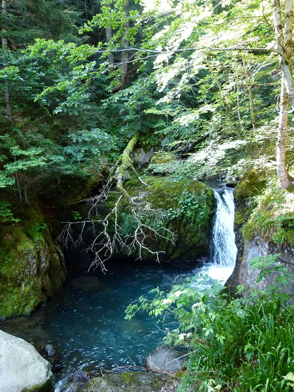 Cascadas del bosque — referencia visual de geología