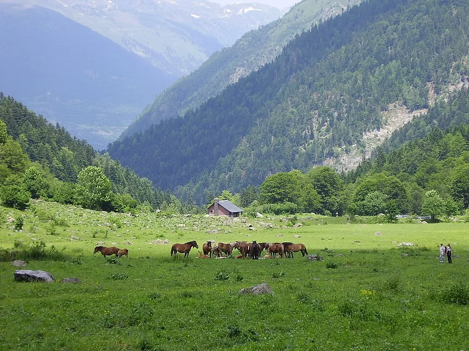 Pradera de Artiga de Lin con caballos y una cabaña, rodeada de bosque y montañas
