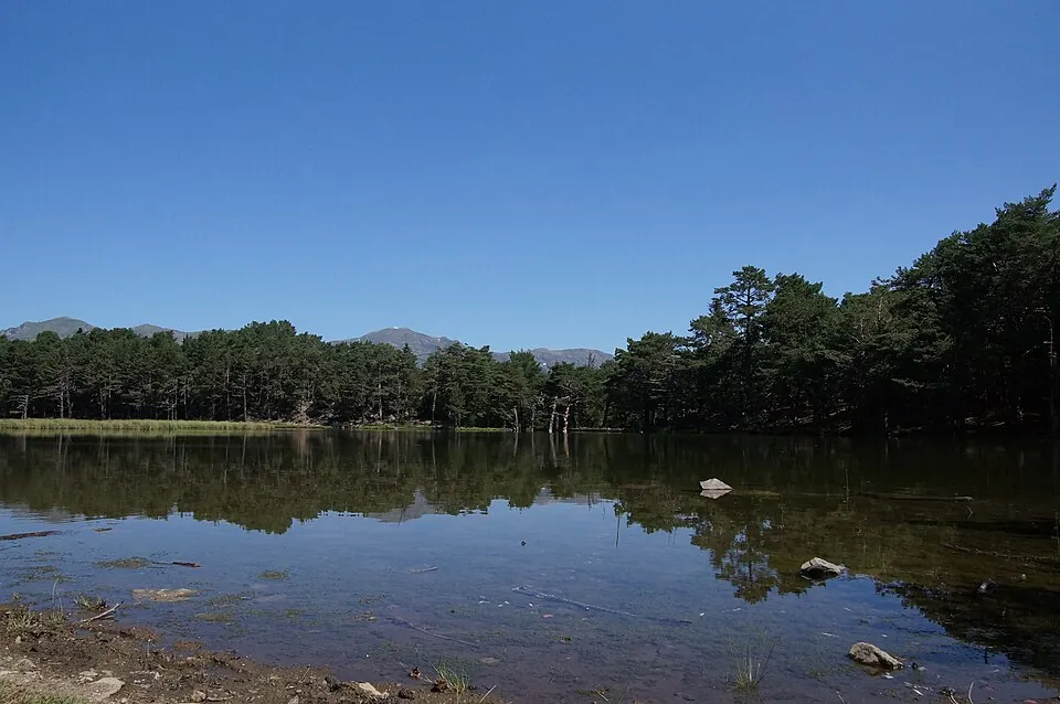 Baricauba en e-bike: bosques y miradores del Valle de Arán · momento 7