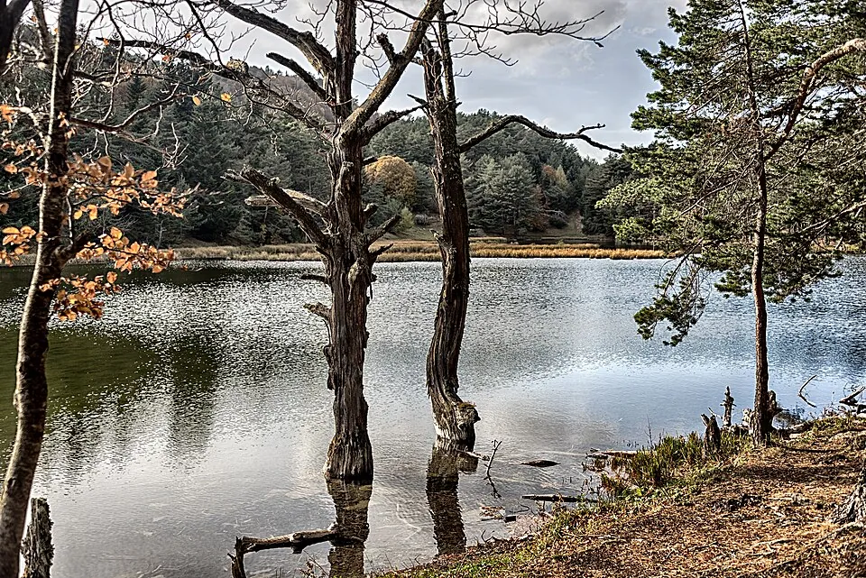 Reflejos en la Bassa d'Oles con árboles secos y colores de otoño