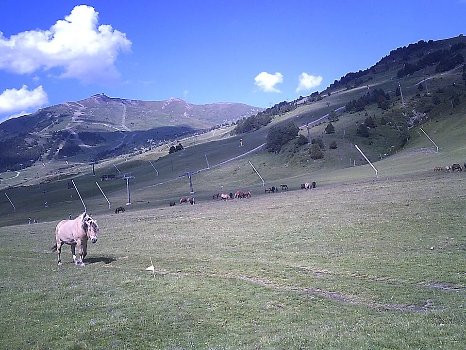 Beret y Montgarri: naturaleza y patrimonio de alta montaña · momento 6