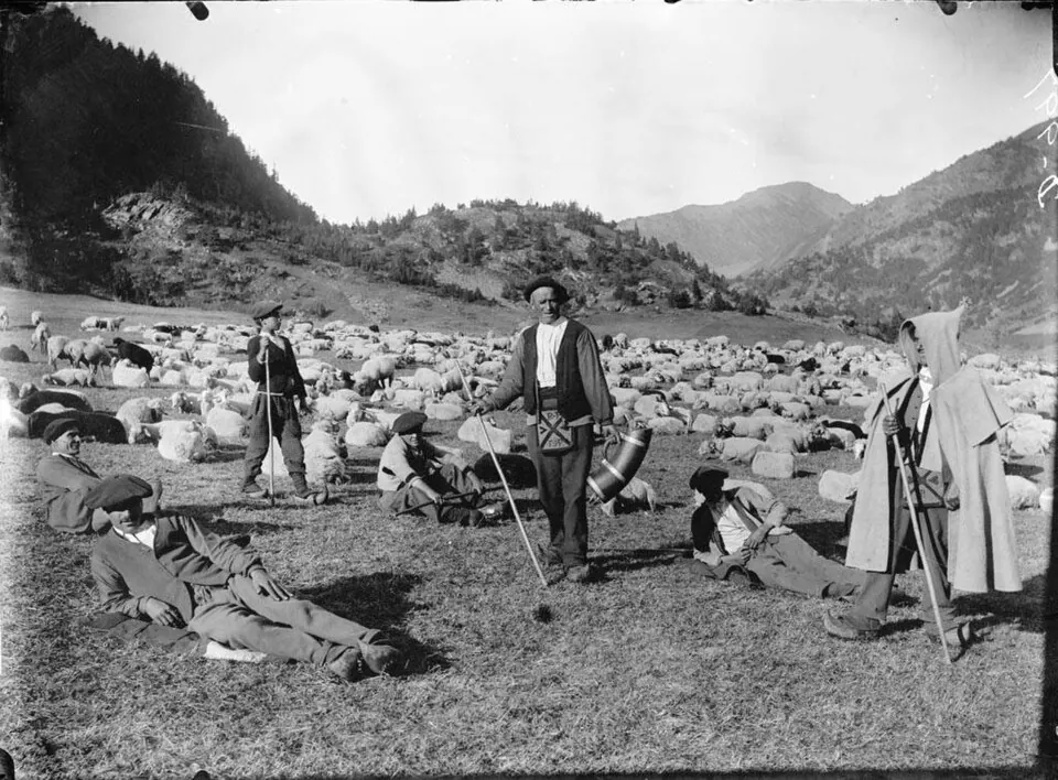 Pastores y rebaños — referencia visual de patrimonio