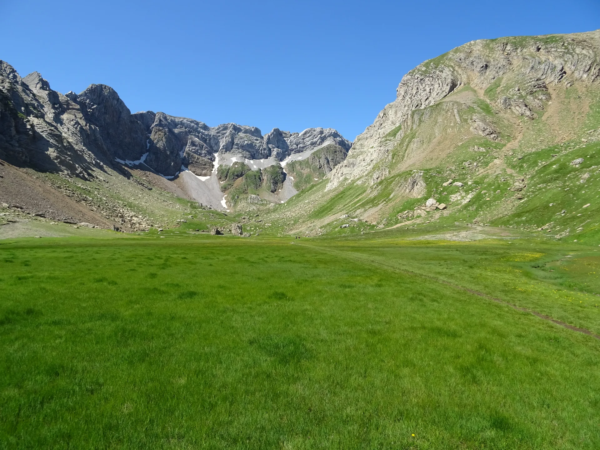 Pastos alpinos en la alta montaña del Pirineo aragonés