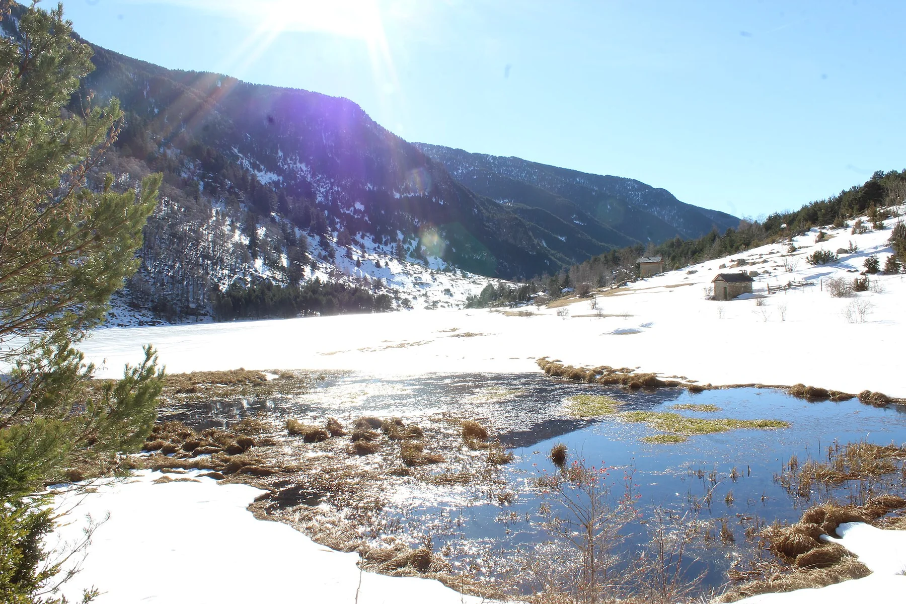 Pla de Llebreta, entorno natural del Val d'Aran