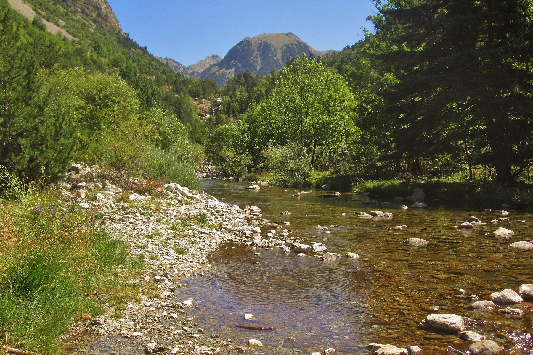 Río serpenteando entre praderas de alta montaña, con relieve glaciar de fondo