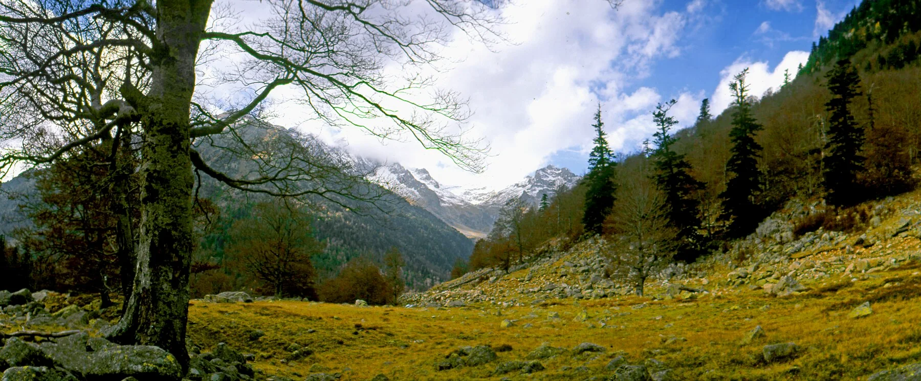 Paisaje del Alto Aran cerca de Salardú y Tredòs