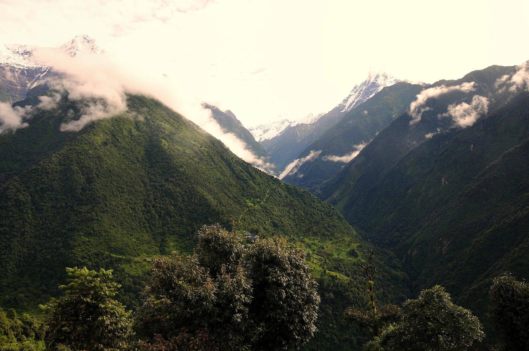 Ghandruk a Chhomrong