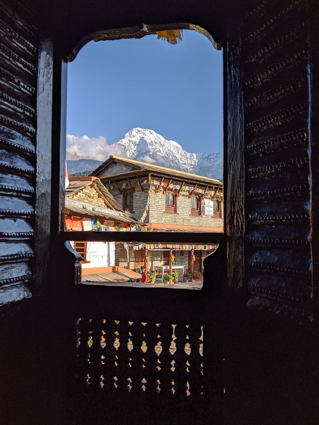 Bamboo a Jhinu Danda (1.780 m)