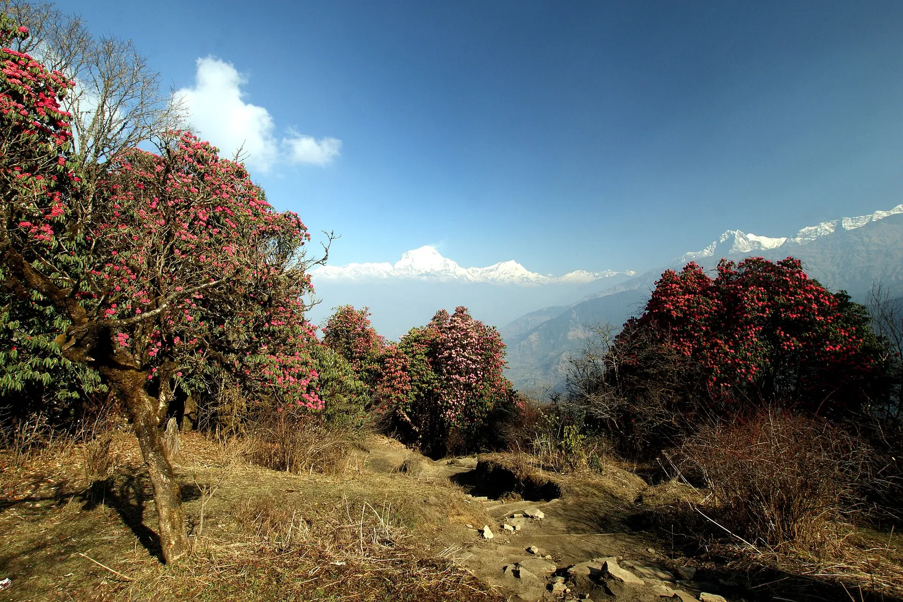 Tatopani a Ghorepani (2.860 m)
