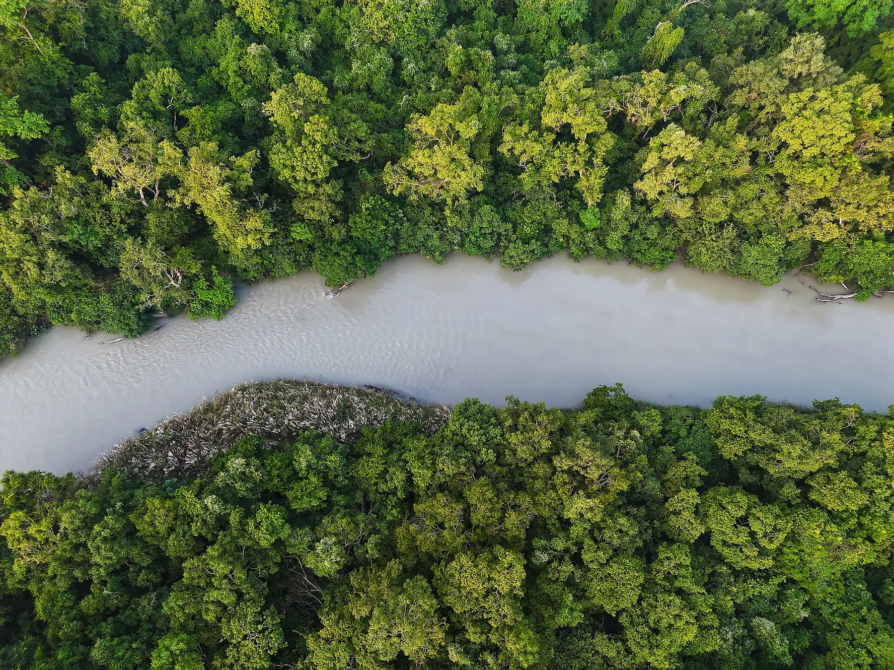Bardia, naturaleza salvaje y fotografía · momento 7