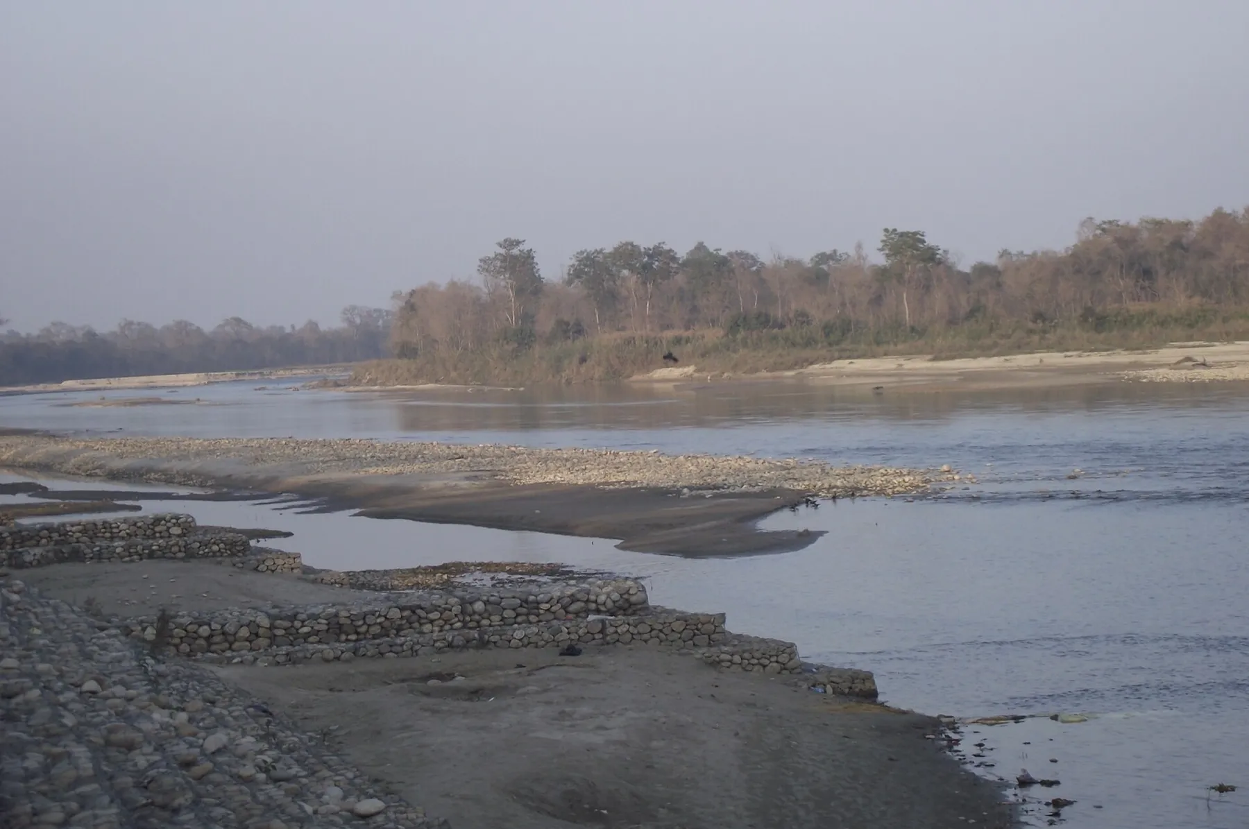 Río Karnali con bancos de arena y bosque en la orilla, en el Parque Nacional de Bardia