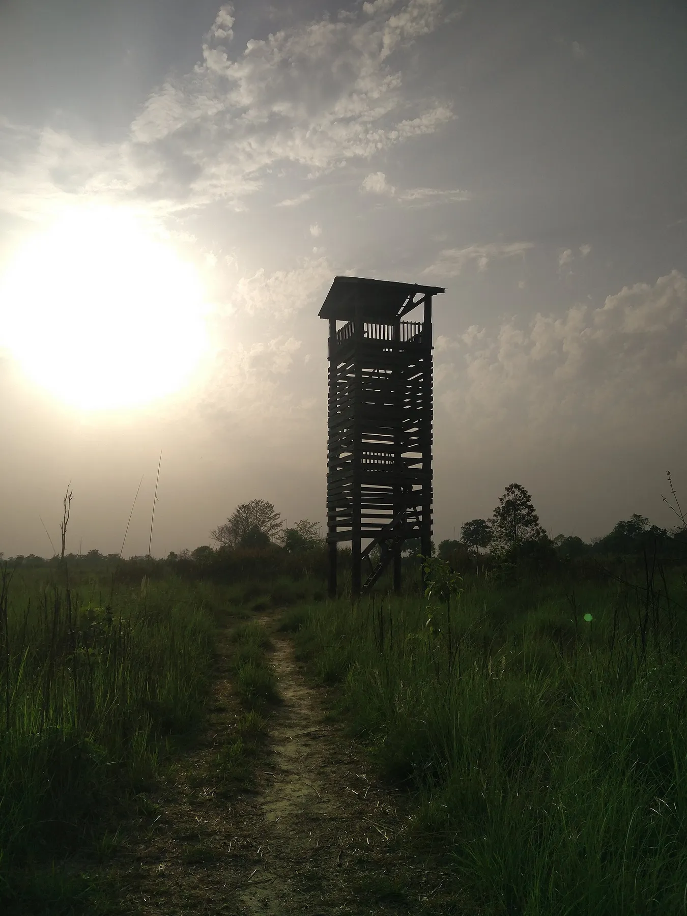 Caminata de selva y observación