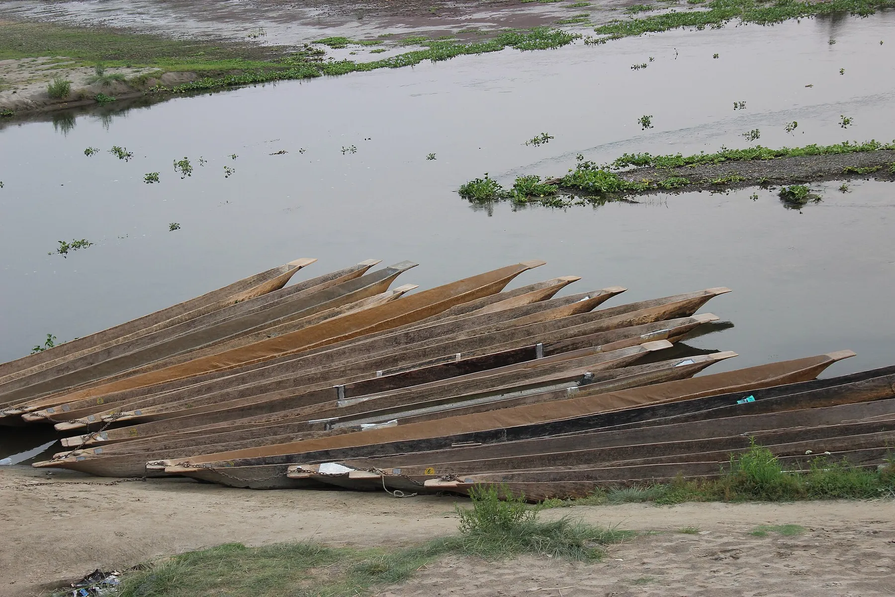Chitwan en canoa y comunidades del Terai · momento 4