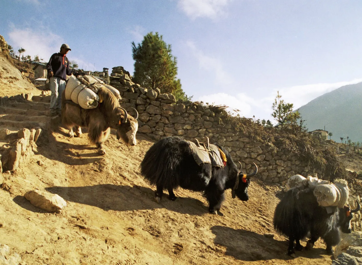 Campo Base del Everest · momento 2