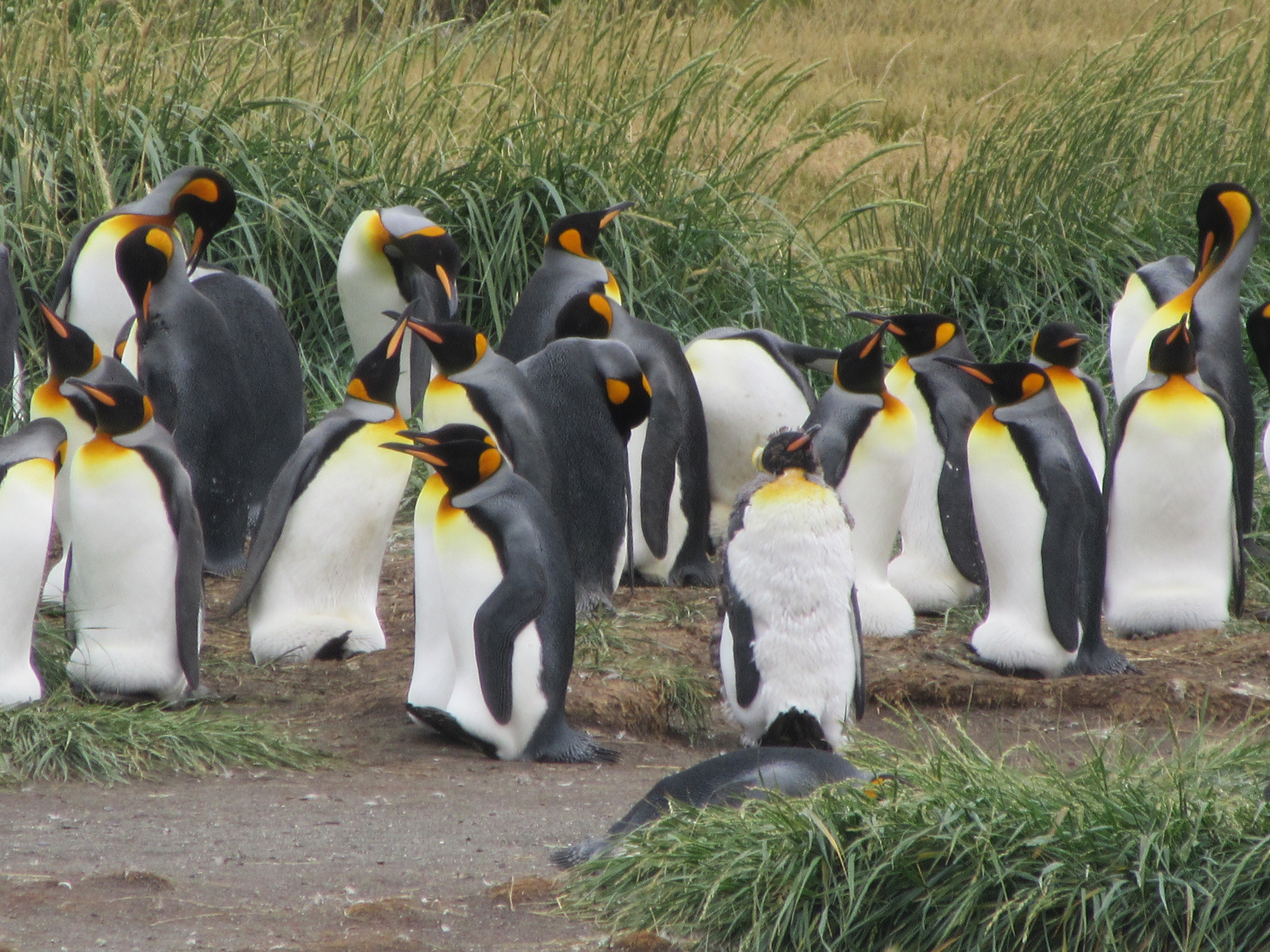 Tierra del Fuego · Ushuaia