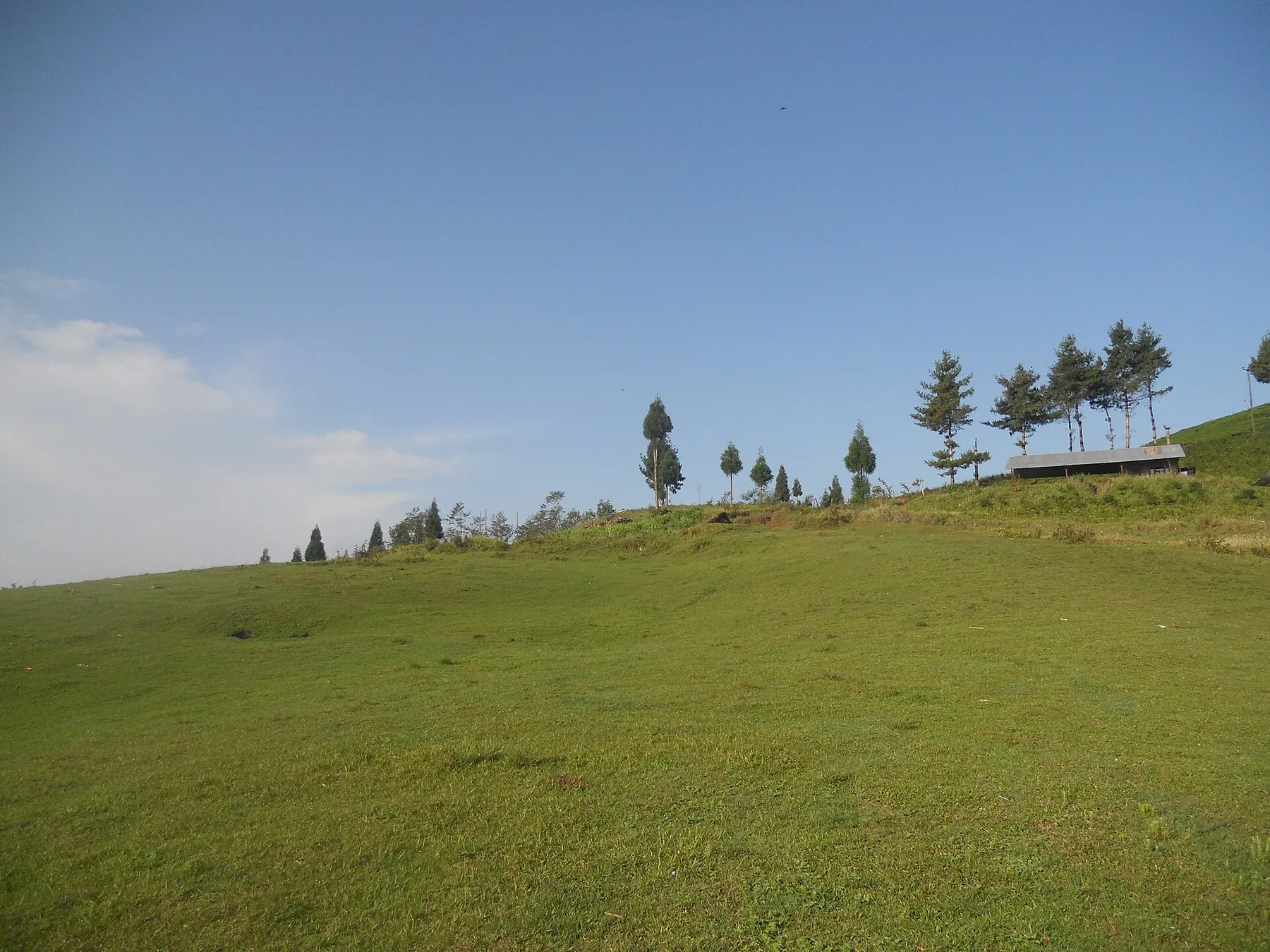 Vuelo a Bhadrapur y carretera a Ilam (1.627 m)