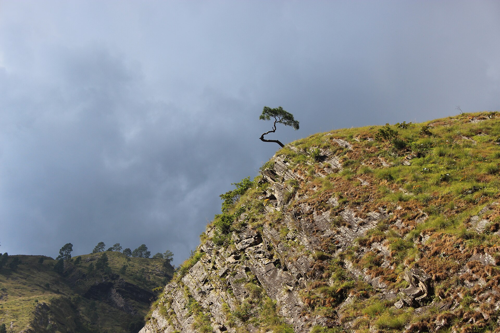 Sendero forestal en el circuito del Manaslu