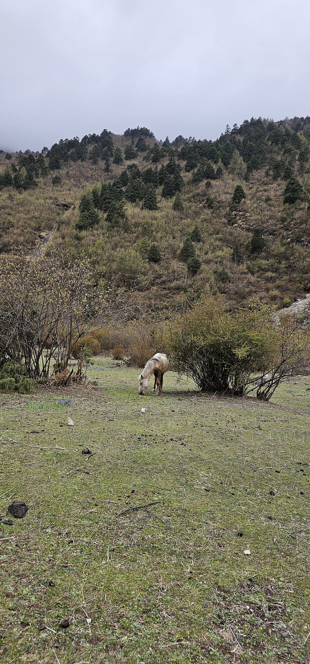 Samdo y los últimos pueblos