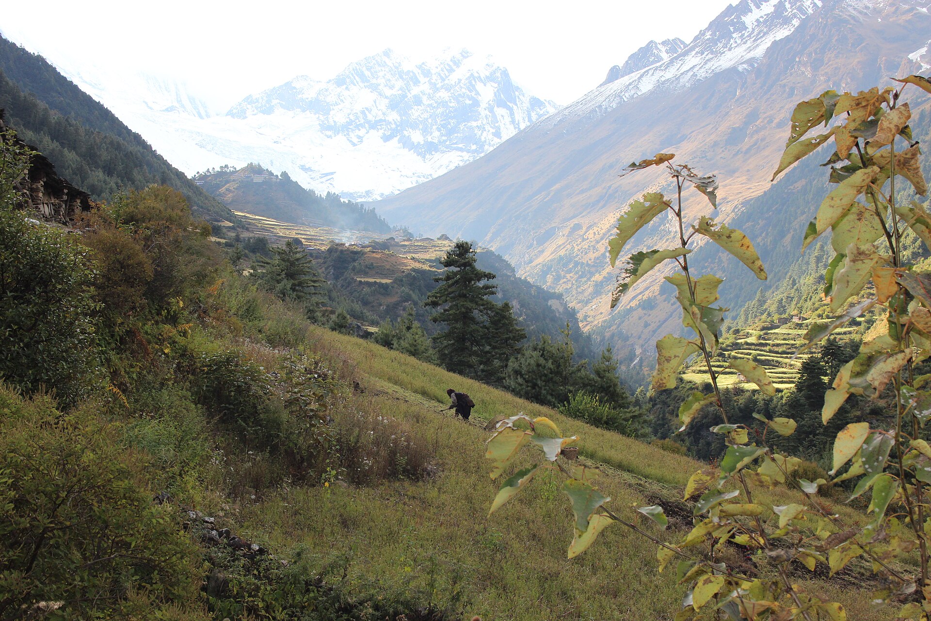Shyala - Samagaon (3.530 m)