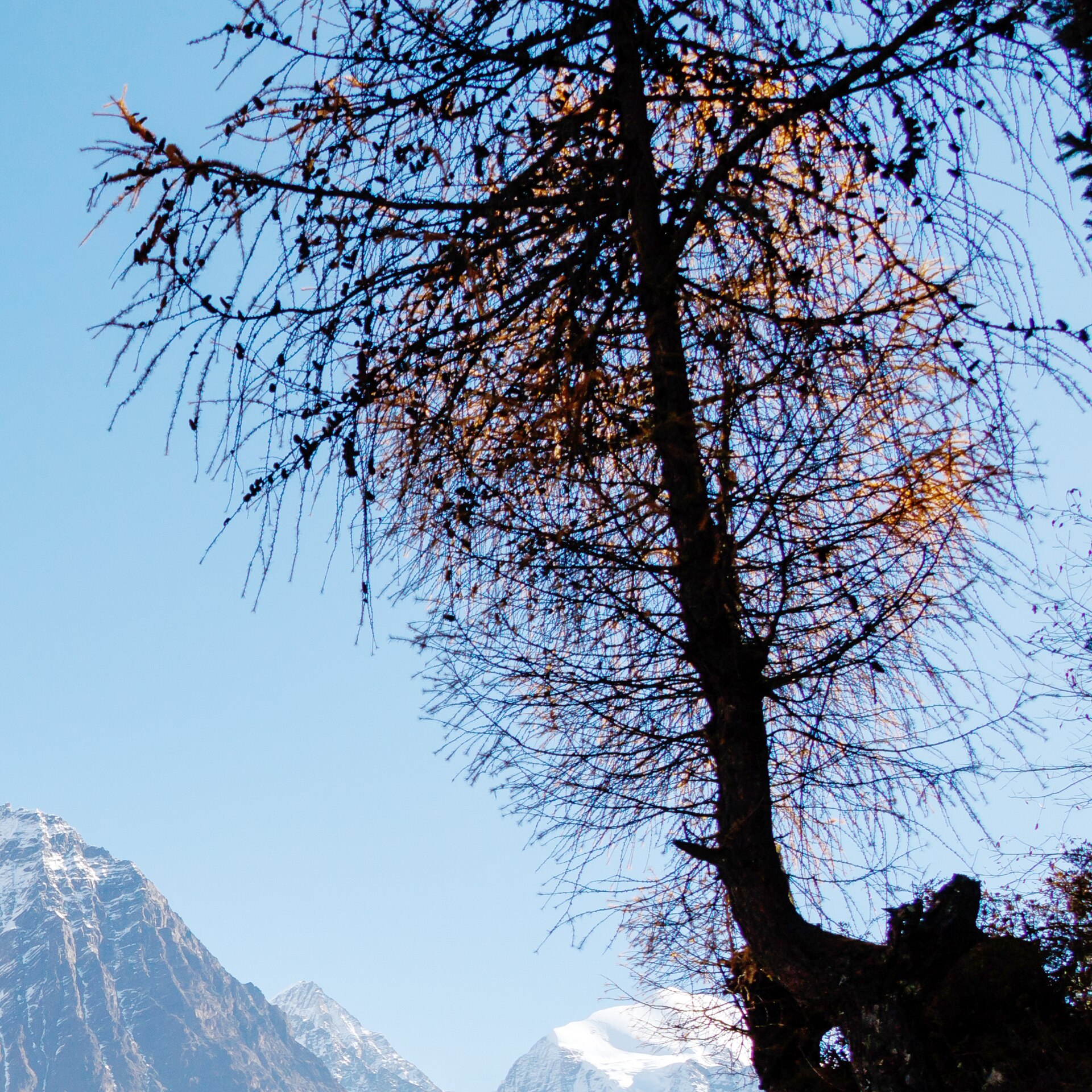 Valle del Budhi Gandaki