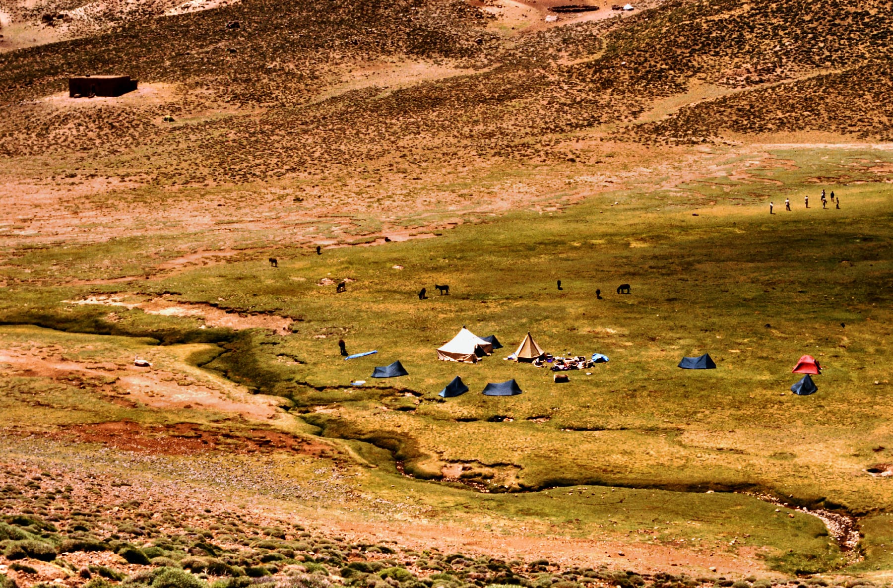 Campamento de montaña en el valle del M'Goun, Atlas central de Marruecos