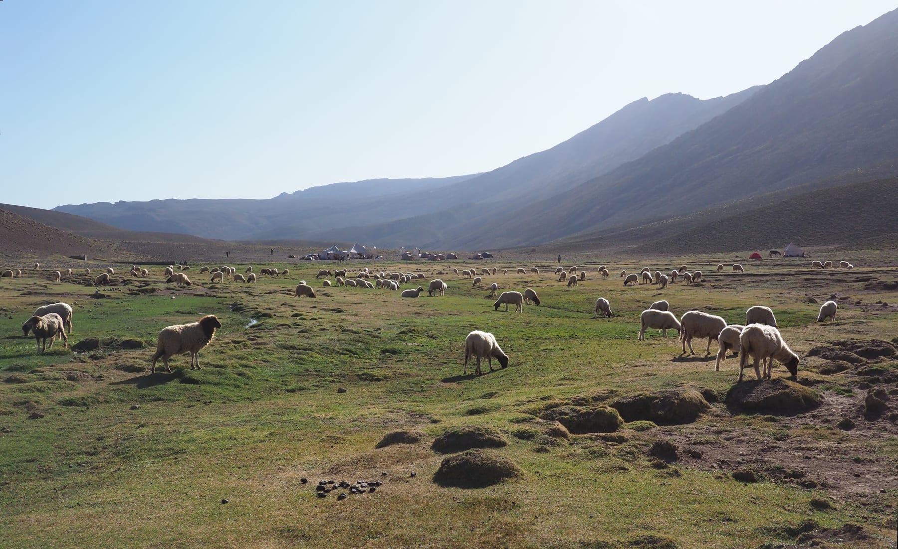 Altiplano de montaña en el Atlas Central