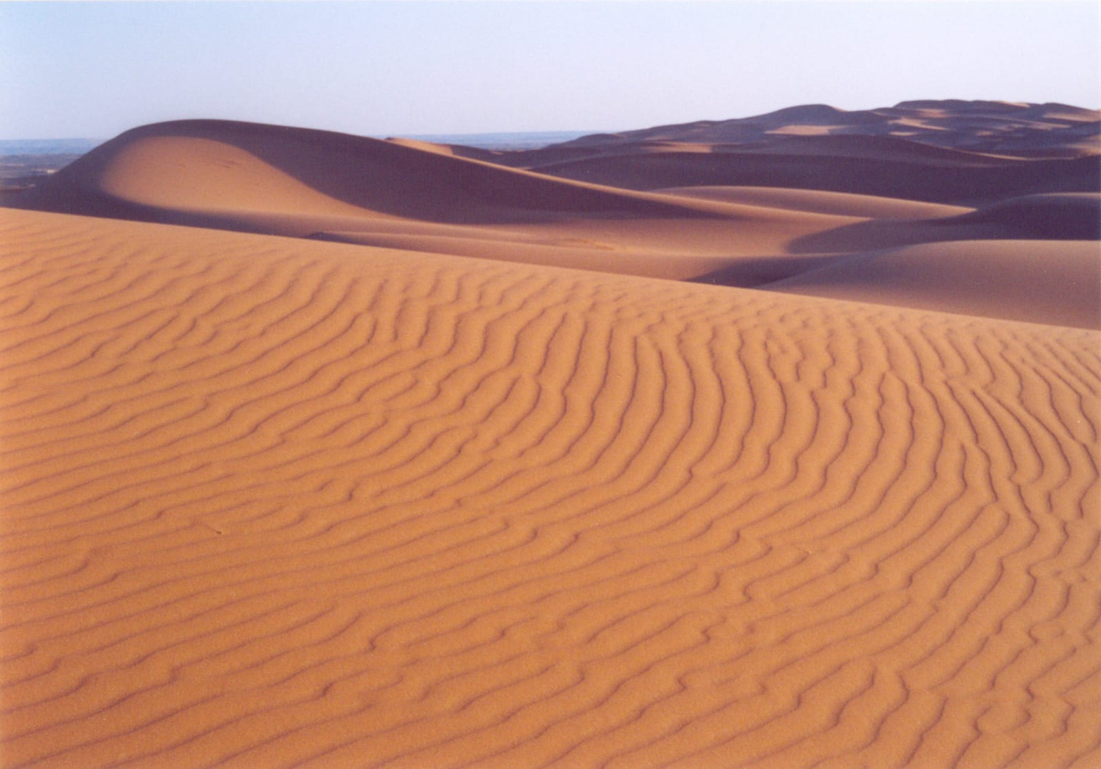 Día en el desierto