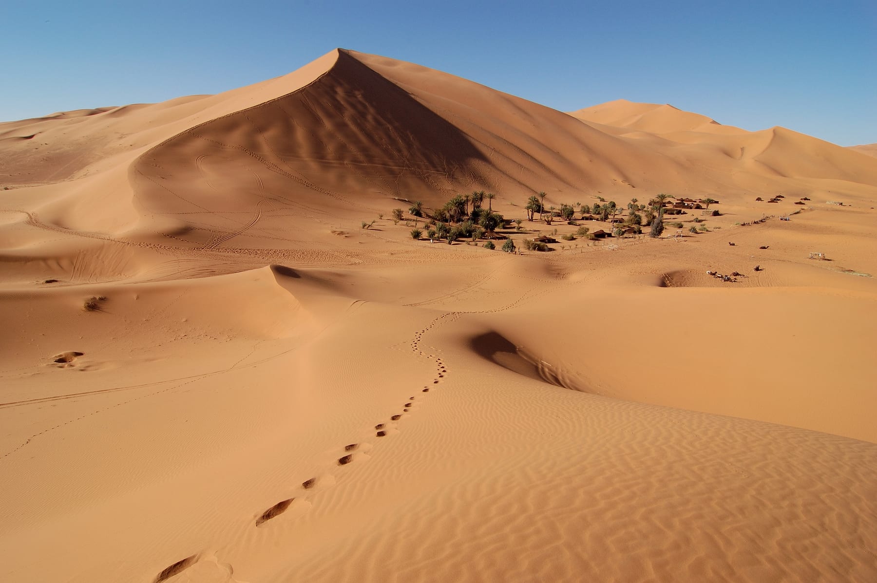 Dunas del Erg Chebbi con un campamento entre palmeras, cerca de Merzouga, Marruecos