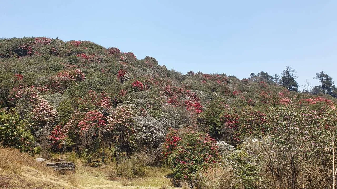 Colinas de Khotang y rutas de cresta