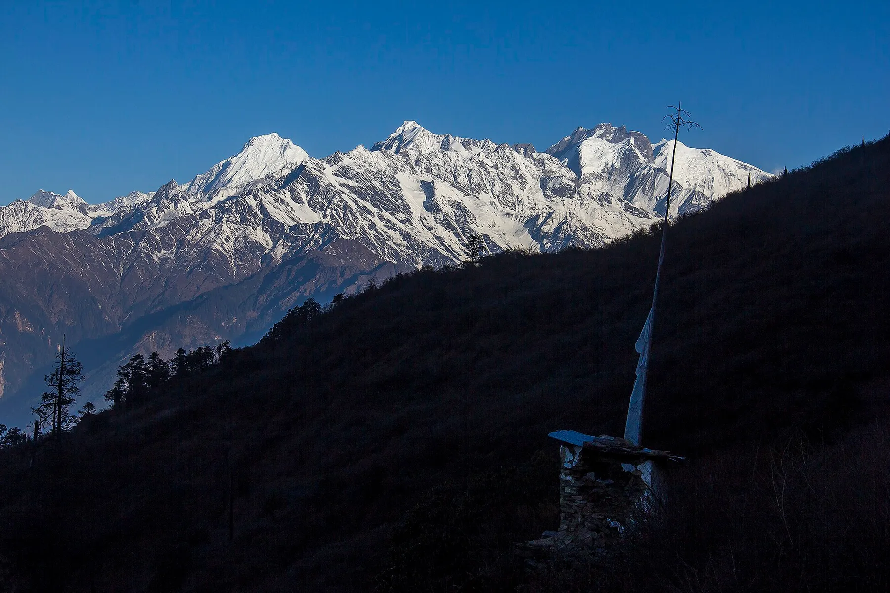 Cresta nevada del Ganesh Himal al amanecer, vista desde un collado de las colinas de Rasuwa