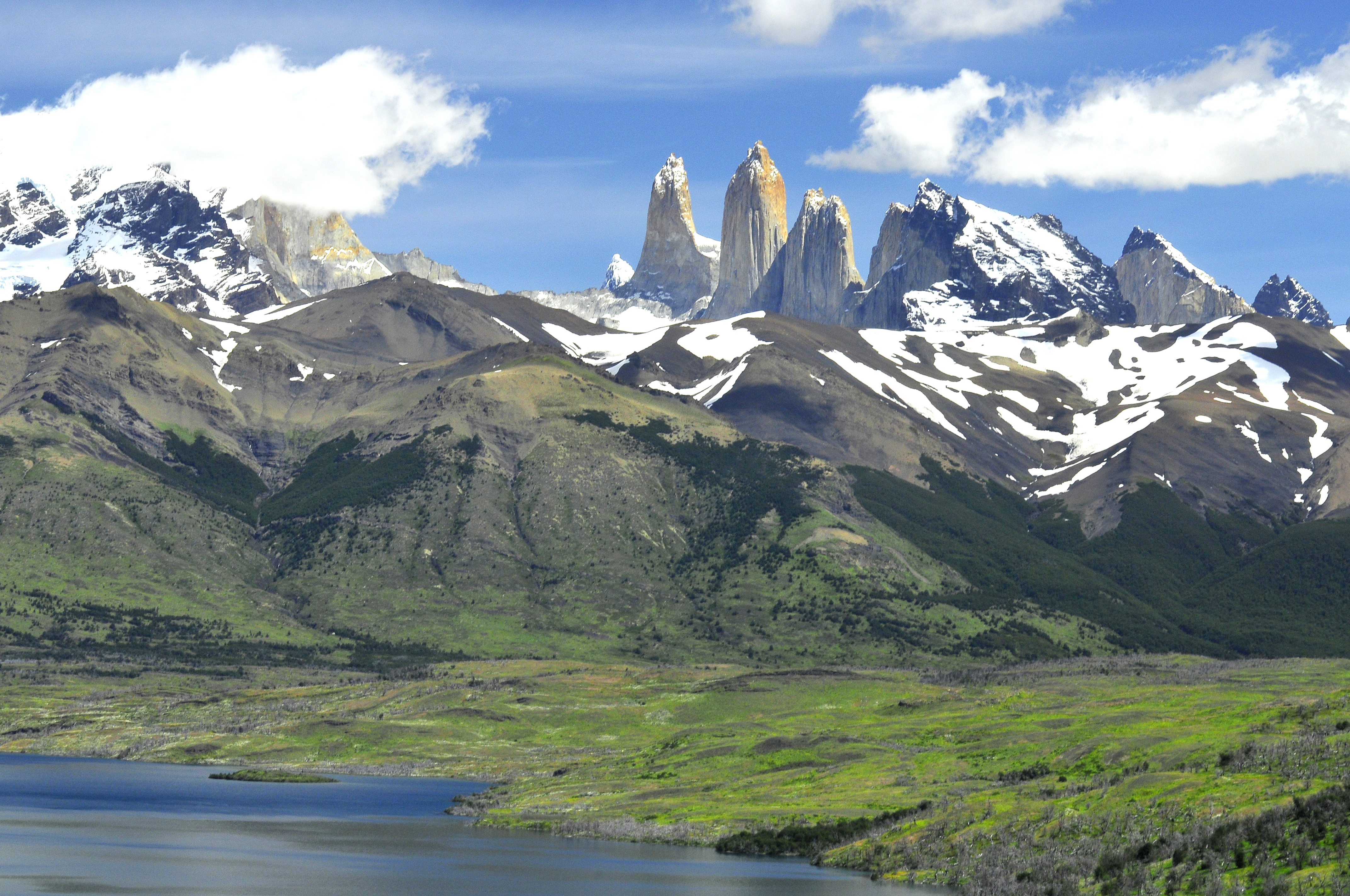Macizo de Torres del Paine visto desde Laguna Azul, con flores amarillas de neneo en primer plano